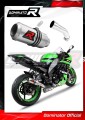 ZX10R VÝFUK Kawasaki tlumič sportovní výfuk GP 2008 - 2010 Dominator