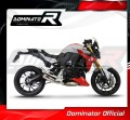 výfuk tlumič výfuku DOMINATOR GP pasuje na motocykl BMW F900R 2020   2026 4
