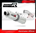 Suzuki GSX 1250 FA 2010 - 2016 motocyklový výfuk tlumič sportovní výfuk ST Dominator výfukový systém 1