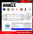 Pegaso 650 Exhaust Aprilia Muffler Auspuff Sportauspuff Silencer Echappement Silencieux Scarico Scarichi Escape Carbon Tip HP1 1997 - 2000 Dominator 3