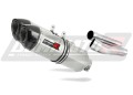MONSTER 600 EXHAUST Ducati Muffler Auspuff Sportauspuff Silencer Echappement Silencieux Scarico Scarichi Escape Wydech Tłumik Carbon Tip HP1 1993 - 2002 Dominator  x