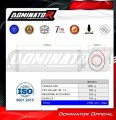 Honda CBF 600 2008 - 2013 EXHAUST Muffler Auspuff Sportauspuff Silencer Echappement Silencieux Scarico Scarichi Escape Wydech Tłumik OVR Dominator Exhaust System 1