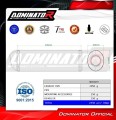 ZX9R EXHAUST Kawasaki Muffler Auspuff Sportauspuff Silencer Echappement Silencieux Scarico Scarichi Escape Wydech Tłumik OVR 1994 - 2002 Dominator 1