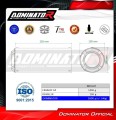 CBR 954 RR FIREBLADE EXHAUST Honda Muffler Auspuff Sportauspuff Silencer Echappement Silencieux Scarico Scarichi Escape Wydech Tłumik GP BLACK 2002 - 2003 Dominator 4