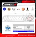 complete exhaust system with muffler DOMINATOR Full System GPF fits to Triumph Trident 660 2021  2024 6