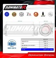 exhaust muffler DOMINATOR GP fits the motorcycle Husqvarna Svartpilen 401 2020   2023 2