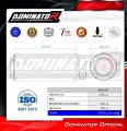 BMW M1000RR 2021 -2022  motorcycle Exhaust Muffler Auspuff Sportauspuff Silencer Echappement Silencieux Scarico Scarichi Escape Wydech Tłumik GP  Dominator 4