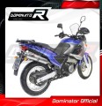 wydech tłumik DOMINATOR Owalny pasujący do motocykla Aprilia Pegaso 650 2001 - 2004 3